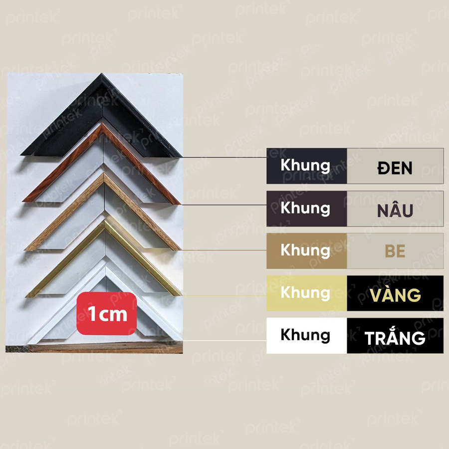 Màu khung tham khảo
