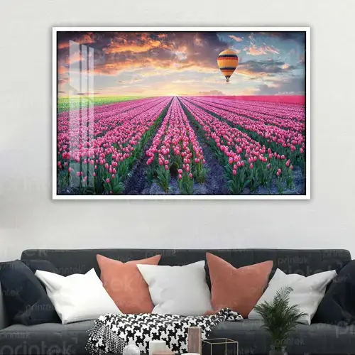 Tranh cánh đồng hoa tulip, đã có khung – MS4563
