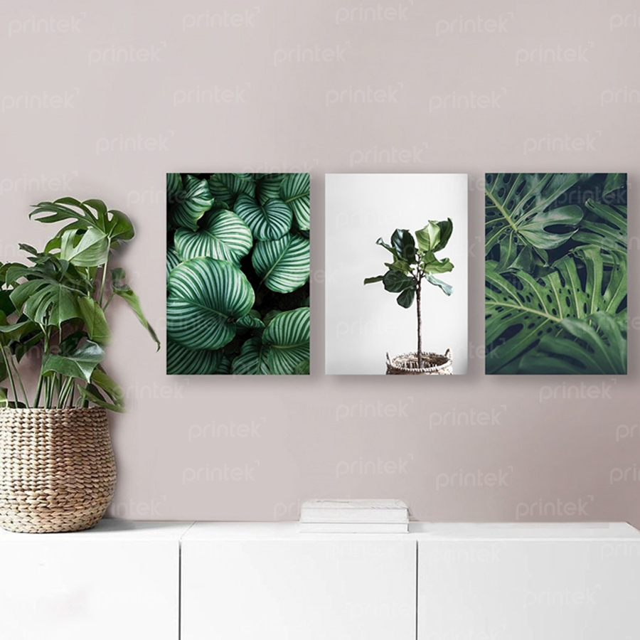 Bộ 3 tranh canvas lá cây, đã có khung – PIN6921