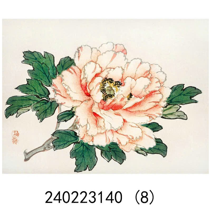 Tranh canvas hoa mẫu đơn - TT046323