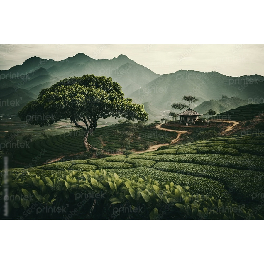 Tranh phong cảnh đồi chè - ADB71